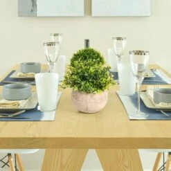 Velener 2Pcs Mini Artificial Boxwood Topiary Faux Plants Indoor- Small Fake Plants Decor Magnolia Home Office Desk Cubicle Farmhouse Kitchen Bookshelf Bedroom Bathroom Decor, Aloe Vera Zen Garden -Organic Plant Shop 41ty3C8CTvL