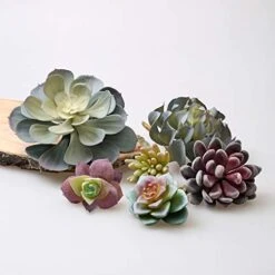 Caqpo Artificial Succulents - 15 Pack - Premium Unpotted Succulent Plants Artificial - Realistic Textured Succulents - Fake Succulent Plants For DIY - Faux Cactus Plant Bulk - Feaux Succulent Plants -Organic Plant Shop 41uDz6G70pL