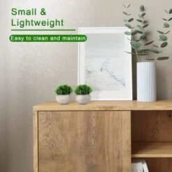 THE BLOOM TIMES 2 Pcs Fake Plants For Bathroom/Home Office Decor, Small Artificial Faux Greenery For House Decorations (Potted Plants) -Organic Plant Shop 41uI7A4lijL 1