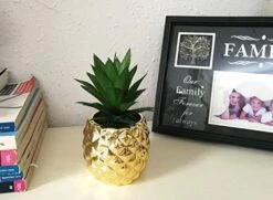Golden Pineapple Ananas Potted Artificial Succulents Faux Plants Home Office Tabletop Decoration (Gold) -Organic Plant Shop 41uN1Cwa9KL