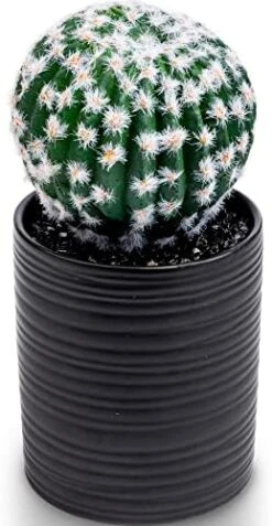 SEEKO Fake Cactus For Home Décor 11" - Artificial Faux Cactus For Southwest, Office, Desk, Shelf - Indoor Fake Plants - White Décor Accents - Modern Farmhouse Decor  -Organic Plant Shop 41umE0Ly1rL. AC