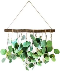 LokoVynes Artificial Eucalyptus Wall Decor - Wall Hanging Eucalyptus Greenery Gives Any Room A Natural, Trendy, Modern Feel - Boho Bedroom Decorations, Bathroom Wall Decor, Kitchen Decorations -Organic Plant Shop 41urdP2pbAL. AC