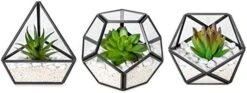 Mkono Artificial Succulent In 3 Pack Mini Glass Geometric Terrarium, Miniature Potted Faux Plant Bookshelf Desk Boho Office Room Decor For Women Girls Dorm Gift Idea, Gold -Organic Plant Shop 41utwzXCaL. AC