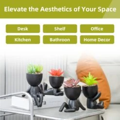 Fake Succulents Plants Decor, 4 Pcs Cute Artificial Succulent In Pot Assorted Life-Like Mini Artificial Greenery Fake Plants For Desk, Office, Living Room, Bathroom, Bedroom, Home Decor (Black-4 Pots) -Organic Plant Shop 41v5zE5gnnL