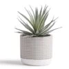 Kurrajong Farmhouse Faux Plant In Pot - 8" X 4.5" | Beautiful Faux Succulent Plant Decor | Artificial Succulent Plants | Faux Plants Indoors
