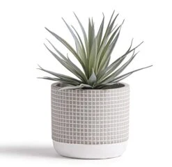 Kurrajong Farmhouse Faux Plant In Pot - 8" X 4.5" | Beautiful Faux Succulent Plant Decor | Artificial Succulent Plants | Faux Plants Indoors