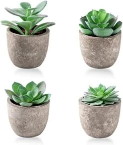 Jelofly Fake Plants Artificial Succulent Plants Assorted Decorative Faux Succulent Potted Fake Cactus Cacti Plants Gray Pots, Set Of 5 -Organic Plant Shop 41vIiFQKgL. AC