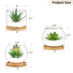 Mkono Artificial Succulent In Clear Glass Pot, Set Of 3 Mini Potted Fake Plants For Women Office Decor Small Faux Green Plant With BambooTray For Bookshelf Bathroom Kitchen Decor Tabletop Centerpiece -Organic Plant Shop 41vIsgCw2mL