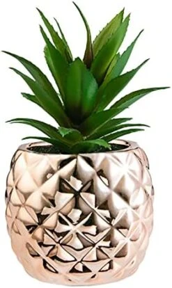 Golden Pineapple Ananas Potted Artificial Succulents Faux Plants Home Office Tabletop Decoration (Gold) -Organic Plant Shop 41wFFnVjByS. AC