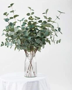 Miracliy 6 PCS Artificial Eucalyptus Leaves Greenery Stems Faux Silk Silver Dollar Eucalyptus Leaf Branches Green Bulk For Home Party Wedding Decoration -Organic Plant Shop 41x95I9eBJL
