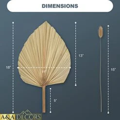 GENERIC Dried Palm Leaves - 3 Pcs Stunning Dried Palm Leaf And 15Pcs Bunny Tails Dried Flowers | Gorgeously Thick Dried Palm Leaves Decor And Bunny Tail For Wedding, Home And Boho Decor | 18 Inch -Organic Plant Shop 41yRM9uZ3zL