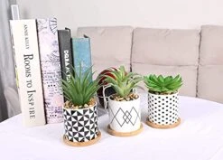 Letinaner Artificial Succulent Plants Fake Pineapple In Pots Artificial Faux Plants Greenery Decorations For Hotel Restaurant Home Office Kitchen Table, Set Of 3 -Organic Plant Shop 41ynn9NMC8L