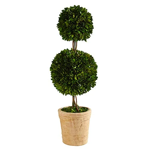 2.5ft. Preserved Boxwood Double Ball Topiary Tree In Decorative Planter (T1001) 1 2.5ft. Preserved Boxwood Double Ball Topiary Tree In Decorative Planter (T1001)