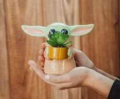 Silver Buffalo Star Wars: The Mandalorian Baby Yoda The Child Grogu 4-Inch Ceramic Mini Planter With Artificial Succulent -Organic Plant Shop 41z65cYASsL