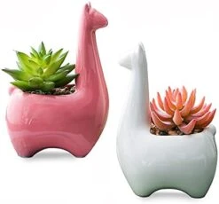 Tenforie Artificial Plant Pots, Ceramic Potted Artificial Succulent Decoration Alpaca Fake Plant Home Decor Tabletop Office Desk Outdoor Decoration - A -Organic Plant Shop 41z9tI7qDNS. AC