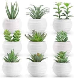 Der Rose 6 Packs Fake Succulents Plants Small Realistic Succulents Plants Artificial For Home Room Decor Indoor -Organic Plant Shop 41zHdc1LyOL. AC