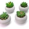 Artificial Succulent Plants In Cement Pots, Set Of 4 - Realistic Faux Potted Plant For Home, Apartment, Or Office - Decorative Fake Succulents - For Desk, Bookshelf, Or Kitchen