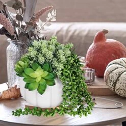White Fall Pumpkin Centerpiece Artificial Succulent Pumpkin Arrangement With Assorted String Of Pearls Succulents For Fall Thanksgiving Gifts Home Wedding Table Mantel Windowsill Shelf Decor -Organic Plant Shop 5102H7imAPL