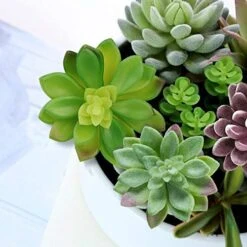 Anoak Artificial Succulent Plants - 16 Pcs Set Faux Succulents Unpotted Fake Succulent Plants, Premium Crafting DIY Floral Decor For Home Garden Office Party (High Realistic) -Organic Plant Shop 5108ZGAxozL