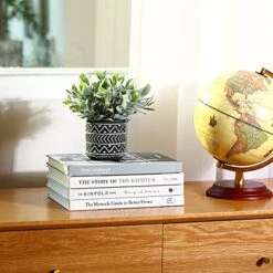 Kazeila 3 Pack Artificial Potted Plants,Fake Snake Plant,Greenery Eucalyptus Leaves And Flocked Sage Plant,Faux Desk Plants For Indoor Home Office Farmhouse Kitchen Bathroom Table Decor 6 Kazeila 3 Pack Artificial Potted Plants,Fake Snake Plant,Greenery Eucalyptus Leaves And Flocked Sage Plant,Faux Desk Plants For Indoor Home Office Farmhouse Kitchen Bathroom Table Decor -Organic Plant Shop 510JZLr1J6L