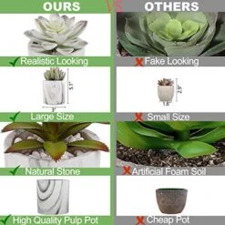 C APPOK Artificial Succulents Plants Faux Succulent Flocking Potted Plants - 4 Pack Fake Succulents Decorative Green Potted Plant In Pots For Home, Desk Decor, Office Decoration -Organic Plant Shop 510QMqqWnOL
