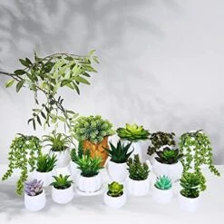 Winlyn 19 Pcs Assorted Artificial Succulents Plants Unpotted Small Green Hanging Succulent Aloe Fake Cacti Succulents Bulk For Succulent Garden Centerpiece Wreath Arrangement Indoor Outdoor Home Decor -Organic Plant Shop 510o7UIZbyL