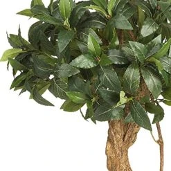 Nearly Natural 5233 Sweet Bay Double Ball Topiary Silk Tree, 4-Feet, Green,49.5" X 9" X 9" -Organic Plant Shop 510xbJQjNDL