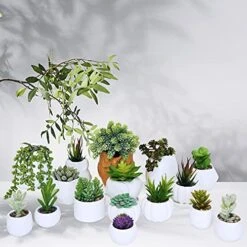 Winlyn 16 Pcs Artificial Succulents Plants Unpotted Small Hanging String Of Pearls Aloe Hops Cactus Green Fake Succulents For Succulent Garden Arrangement Centerpiece Wall Indoor Outdoor Home Decor 9 Winlyn 16 Pcs Artificial Succulents Plants Unpotted Small Hanging String Of Pearls Aloe Hops Cactus Green Fake Succulents For Succulent Garden Arrangement Centerpiece Wall Indoor Outdoor Home Decor -Organic Plant Shop 5111qIh9ZZL