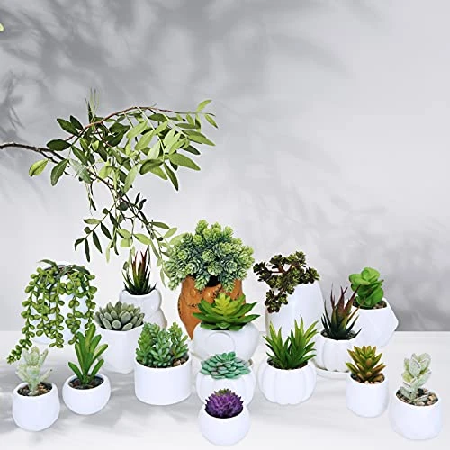 Winlyn 16 Pcs Artificial Succulents Plants Unpotted Small Hanging String Of Pearls Aloe Hops Cactus Green Fake Succulents For Succulent Garden Arrangement Centerpiece Wall Indoor Outdoor Home Decor 5 Winlyn 16 Pcs Artificial Succulents Plants Unpotted Small Hanging String Of Pearls Aloe Hops Cactus Green Fake Succulents For Succulent Garden Arrangement Centerpiece Wall Indoor Outdoor Home Decor - Image 5
