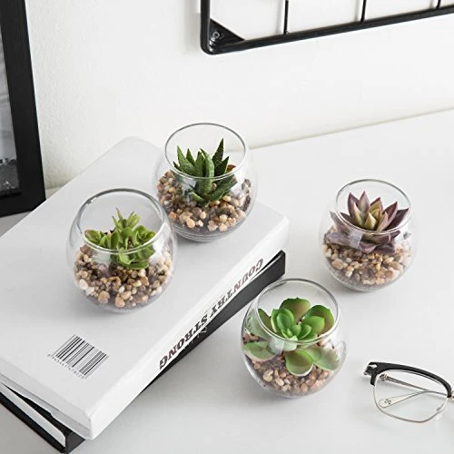 MyGift Assorted Artificial Succulent Fake Plant In Small Clear Glass Display Vases, Set Of 4 2 MyGift Assorted Artificial Succulent Fake Plant In Small Clear Glass Display Vases, Set Of 4 - Image 2