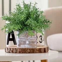 Set Of 3 Assorted Small Potted Plants Fake Eucalyptus Plants And Rosemary Plant In Rustic Wooden Planters For Mother Gifts Farmhouse Table Centerpiece Bathroom Shelf Office Desk Indoor Greenery Decor -Organic Plant Shop 511LnPR9BUL