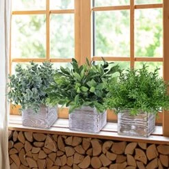 Set Of 3 Assorted Small Potted Plants Fake Eucalyptus Plants And Rosemary Plant In Rustic Wooden Planters For Mother Gifts Farmhouse Table Centerpiece Bathroom Shelf Office Desk Indoor Greenery Decor -Organic Plant Shop 511W4vgJlaL