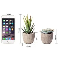 Jelofly Fake Plants Artificial Succulent Plants Assorted Decorative Faux Succulent Potted Fake Cactus Cacti Plants Gray Pots, Set Of 5 -Organic Plant Shop 511YsNpCCDL