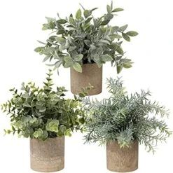 Briful Artificial Potted Plants Set Of 3 Small Faux Plant Eucalyptus Mini Fake Plant Decor For Home Table Office Room Desk Bathroom Shelf Kitchen Rustic Farmhouse Mantel Decoration -Organic Plant Shop 511cNBNVx S. AC