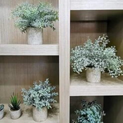 Winlyn Mini Potted Plants Artificial Flocked Eucalyptus Boxwood Rosemary Greenery In Pots Faux Potted Herbs Small Houseplants 8.8"-10" Tall For Indoor Greenery Tabletop Décor Centerpiece 3 Pack -Organic Plant Shop 511l9iRDSBL