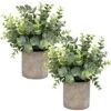 Flojery Mini Potted Plants Artificial Eucalyptus Boxwood Rosemary Greenery In Pots Faux Potted Herbs Small House Plants 8.3"-9" Tall For Indoor Greenery Tabletop Décor Centerpiece (Sprayed Eucalyptus)