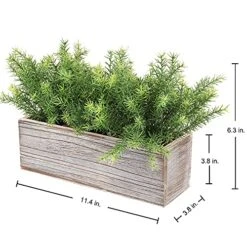 PLANT Artificial Wooden Potted Rosemary Faux Greenery In Wood Planter Box S For Rustic Farmhouse Centerpiece Tabletop Kitchen Shelf Decor -Organic Plant Shop 512TBrKdnUS