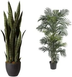 Nearly Natural, Green 4855 35in. Sansevieria With Black Planter 19 Nearly Natural, Green 4855 35in. Sansevieria With Black Planter -Organic Plant Shop 512WPgsKvcL. AC