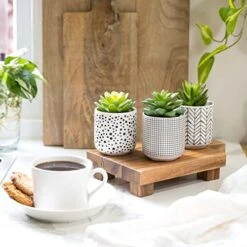 Kurrajong Farmhouse Artificial Succulents In Pots | Set Of 3 Black And White Ceramic Pots With Green Succulents Artificial | Faux Plants Indoor Fake Plants In Pots 4.75" High -Organic Plant Shop 512czhT5I3L