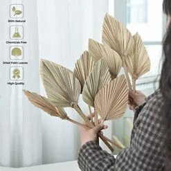 PYSAZI 12 Pcs Natural Dried Palm Leaves Boho Dried Palm Spears Leaves Bulk Small Dried Real Palm Fans Dry Palm Leaves With Stems Dried Leaf Boho Home Décor For Vase Wedding Office Home 43.5*12cm 9 PYSAZI 12 Pcs Natural Dried Palm Leaves Boho Dried Palm Spears Leaves Bulk Small Dried Real Palm Fans Dry Palm Leaves With Stems Dried Leaf Boho Home Décor For Vase Wedding Office Home 43.5*12cm -Organic Plant Shop 513b2Bo5daL