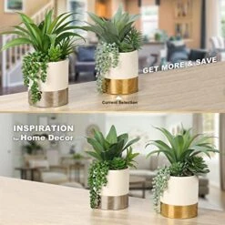 Large Artificial Succulents Plants Faux Succulents 12" Fake Succulent Plants In Gold Ceramic Pot Succulent Plant For Desk Modern Home Living Room Office Table Shelf Decor -Organic Plant Shop 514Xnp9vbuL