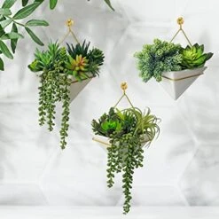 Winlyn 15 Pcs Artificial Succulents Unpotted Bulk Small Faux Succulent Plants Hanging Succulents Hops Aloe For Succulent Garden Wreath Floral Arrangement Indoor Outdoor Green Decor -Organic Plant Shop 514oU5zZ4SL