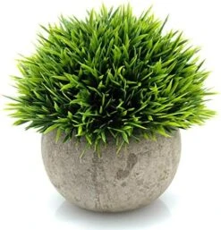 Velener 2Pcs Mini Artificial Boxwood Topiary Faux Plants Indoor- Small Fake Plants Decor Magnolia Home Office Desk Cubicle Farmhouse Kitchen Bookshelf Bedroom Bathroom Decor, Aloe Vera Zen Garden -Organic Plant Shop 5150xzjkM4L. AC