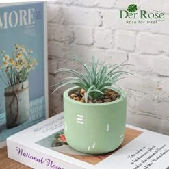 Der Rose 2 Packs Fake Plants Succulents Plants Artificial For Living Room Bedroom Aesthetic Decor -Organic Plant Shop 5152cki3ReL