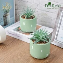 Der Rose 2 Packs Fake Plants Succulents Plants Artificial For Living Room Bedroom Aesthetic Decor -Organic Plant Shop 515N2szYw8L