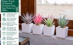 Sunprairie Classic Set Of 4 Faux Succulents 7” Tall In Ivory White Stucco Ceramic Pots-Realistic Multi Colored Artificial Succulents Plants For Home & Office Decor. -Organic Plant Shop 516I7maimSL