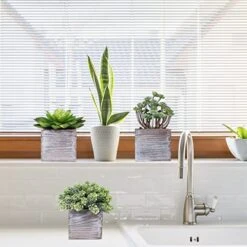 Set Of 3 Assorted Small Potted Succulents Plants Decorations Green Fake Succulents Cacti In Rustic Wooden Pots For Home Living Room Bathroom Table Centerpiece Windowsill Shelf Office Desk Indoor Decor -Organic Plant Shop 5175hf1faLL