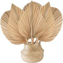 Nuanchu Natural Dried Palm Leaves Boho Palm Leaves Decor Heart Round Shape Palm Fans Tropical Palm Leaves Decoration Dried Palm Leaves Decor For Holidays Weddings Party Kitchen (Heart Shape, 9) -Organic Plant Shop 517Ix204N L. AC