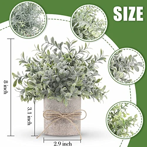 JC Nateva Small Fake Plants Mini Potted Artificial Plants Indoor For Home Office Farmhouse Kitchen Bathroom Table Decor 2 JC Nateva Small Fake Plants Mini Potted Artificial Plants Indoor For Home Office Farmhouse Kitchen Bathroom Table Decor - Image 2
