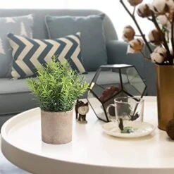 HomEdge Artificial Mini Potted Eucalyptus, 3 Packs Artificial Plastic Plant Greenery With Pot For Home, Office Desk Decoration -Organic Plant Shop 5183iFIZSjL